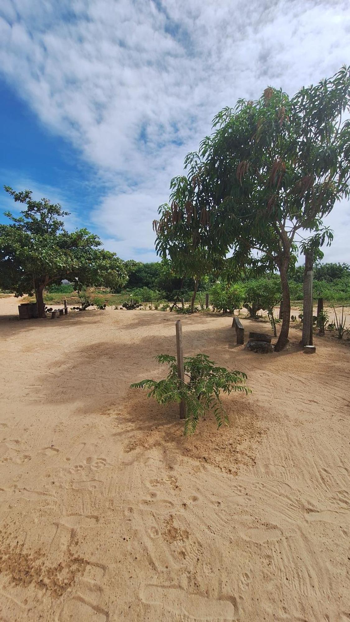 Pousada Maria Sara Jijoca de Jericoacoara Exteriér fotografie